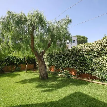 Il Geco Con Piscina Ad Villa